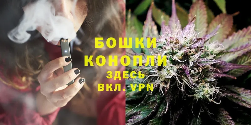 Бошки Шишки SATIVA & INDICA  закладки  Кукмор 